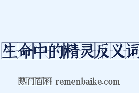 生命中的精灵反义词是什么意思的图片